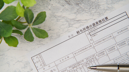日本の源泉徴収票　イメージ