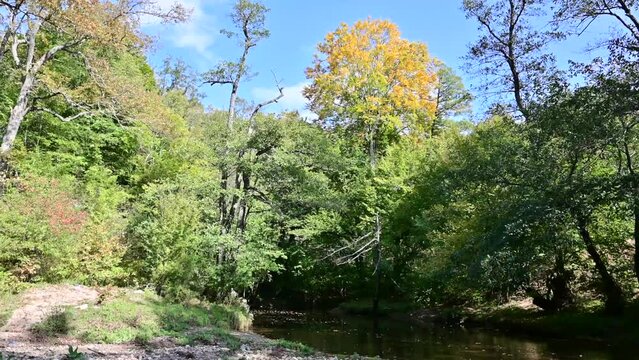 Stream bed and trees in autumn. Igneada district is a popular nature excursion route stream.