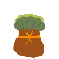plant in a pot
