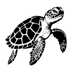 Fototapeta premium Sea turtle hand drawn engraving style sketch Underwater animals Vector illustration., ai generated