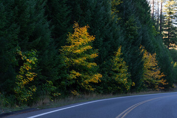 Autumn in California mountains