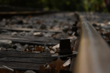 railroad tracks in the forest