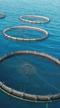 Aquaculture fish farm in open sea, aerial vertical close-up shot
