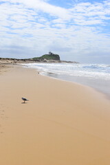 
Nobby's Beach, Newcastle, NSW Australia . March 2021 . This was during the Covid 19 pandemic on a hot sunny day. 