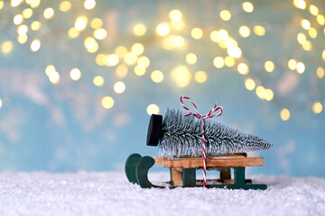 mit dem Schlitten den Weihnachtsbaum holen