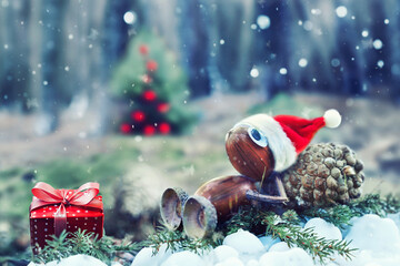 lustiger Eichelmann als Weihnachtsmann liegt im Wald