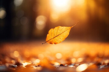 Obraz premium Colorful leaves in Autumn season with blurred background.