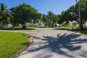 a stunning summer landscape at Crandon Park along a footpath with lush green palm trees and grass, people walking and a gorgeous clear blue sky in Key Biscayne Florida USA