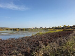 A river with grass and trees in the background