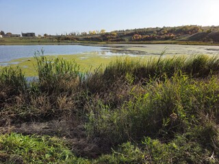 A grassy area with a body of water in the background