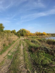 A dirt road with grass and trees