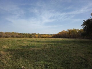 A grassy field with trees in the background