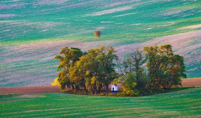Schilderijen op glas landscape with a tree © Petr