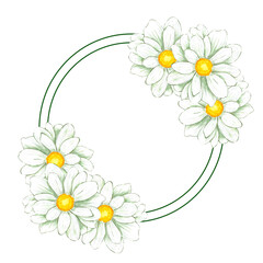 Hand drawn watercolor chamomile frame isolated on white background. Can be used for print, postcard, poster, decoration and other printed products.
