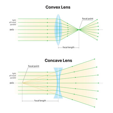 Convex lens and Concave lens diagram. Show ray diverging and converging. For physics, science and education. Vector illustration.