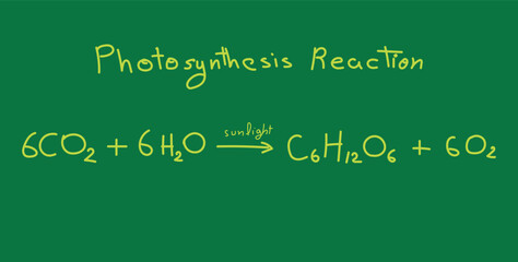 Photosynthesis equation. Carbon dioxide, water, sugars and oxygen. Chemical reaction with reactants and products. Chemical resources for teachers and students. Scientific doodle handwriting concept.