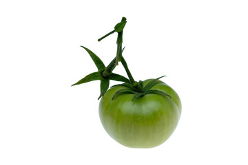 green tomato isolated on white