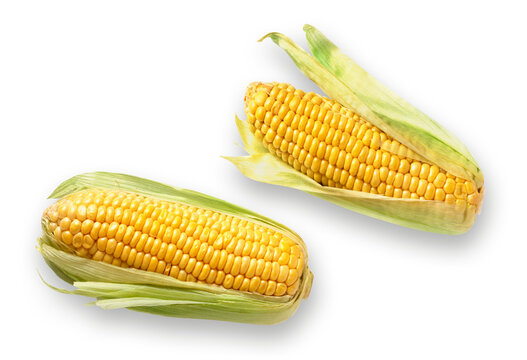 Maiskolben