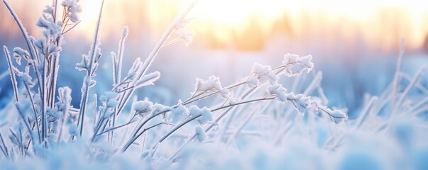 Frozen snowy grass, winter natural abstract background. beautiful winter landscape.