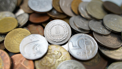 Coins from different countries of the world. Polish Zloty, Czech Crowns, Euro, Russian Ruble