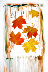Multicolored fallen autumn maple leaves in a frame of liquid paint. Collection of autumn leaves on...