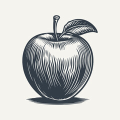 Apple. Vintage woodcut engraving style hand drawn vector illustration.