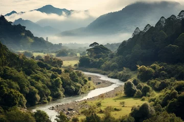 Fototapeten landscape in the mountains, SC, Brazil © PhillPixel