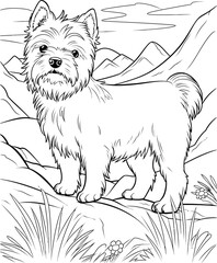 Cairn Terrier dog coloring page
