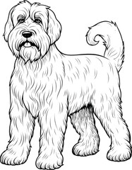 Black Russian Terrier dog coloring page