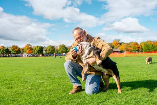 An old man playing with his dog in the park - Powered by Adobe