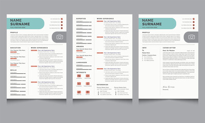 Professional CV Resume Layout Design Template and Cover Letter