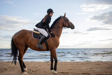 Horsewoman in equestrian sports gear, riding a horse, on the beach, portrait on the background of...