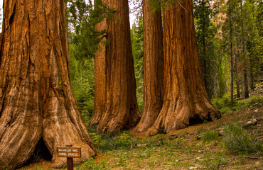 Yosemite
