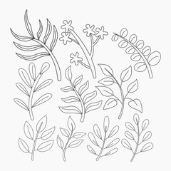 Set of hand drawn doodle leaves and flowers. Vector illustration.