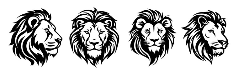 black and white illustration of lion