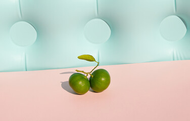 Green tangerines on sunny day. Minimal scene fruits on pastel pink and blue background.