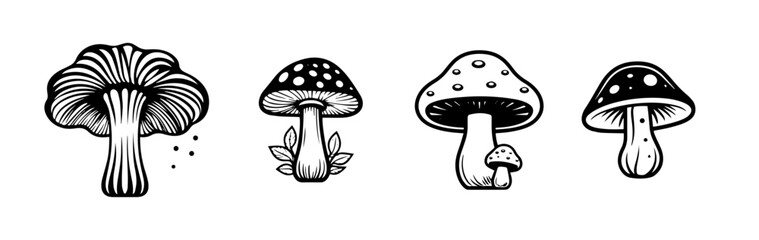 black and white illustration of mushroom  - obrazy, fototapety, plakaty