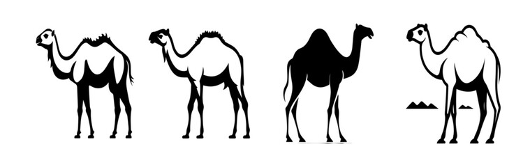 black and white illustration of a camel