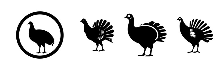 Fototapeta na wymiar silhouette of a chicken 