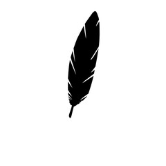 bird feather silhouette