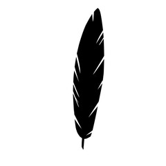 bird feather silhouette