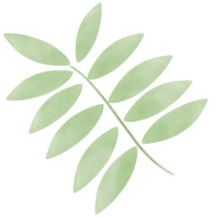 Naklejka premium branch with leaves