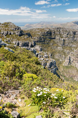 Fototapeta na wymiar view from the Table Mountain on a sunny day, Table Mountain Nature Reserve, Western Cape, South Africa