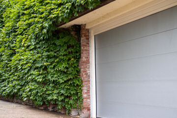A house garage door with vertical green wall.