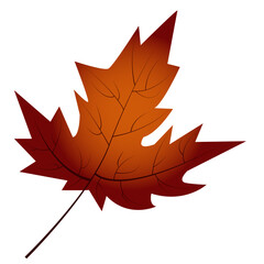 Autumn maple leaf