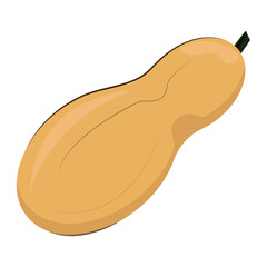 Fresh fall pumpkin vector illustration.Hand drawn