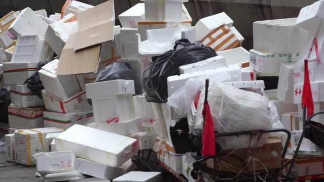 Broken pallets, plastic bags, human waste of all kinds waiting for refuse collection