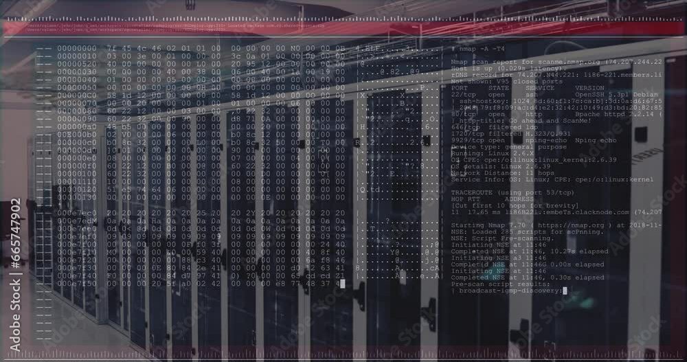 Poster animation of computer language in terminal interface over data server room