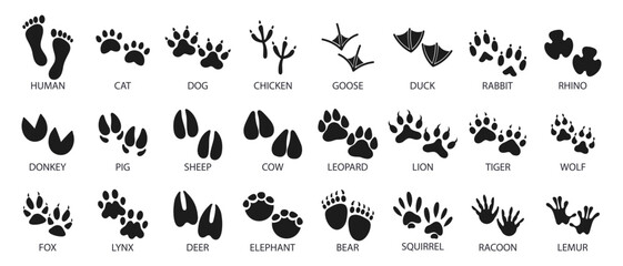 Big set of footprints of domestic and wild animals. Icons, sketch, vector - obrazy, fototapety, plakaty