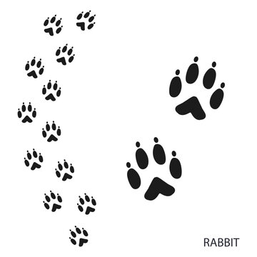 Paw prints, animal footprints, rabbit footprints template. Icon and track of footprints. Black silhouette. Vector